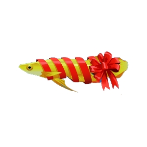 Ribbon Arowana